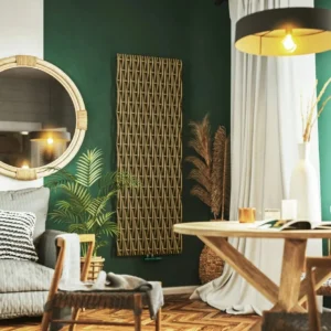 Vind jouw perfecte design radiator tussen alle Moderne badkamer radiatoren
